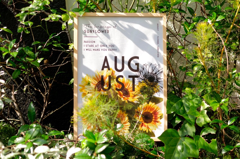 季節のポスター 8月のお花と花言葉 Nextweekend Store