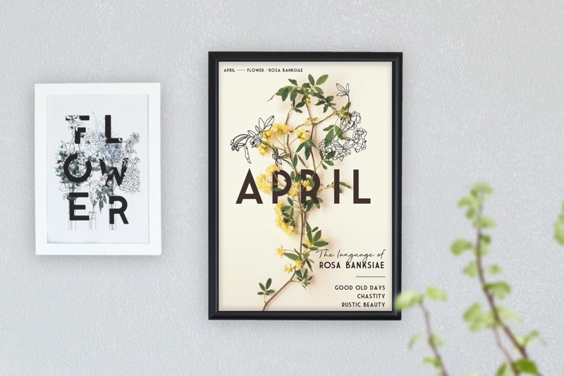 PP_季節のポスター 4月のお花と花言葉 | NEXTWEEKEND STORE
