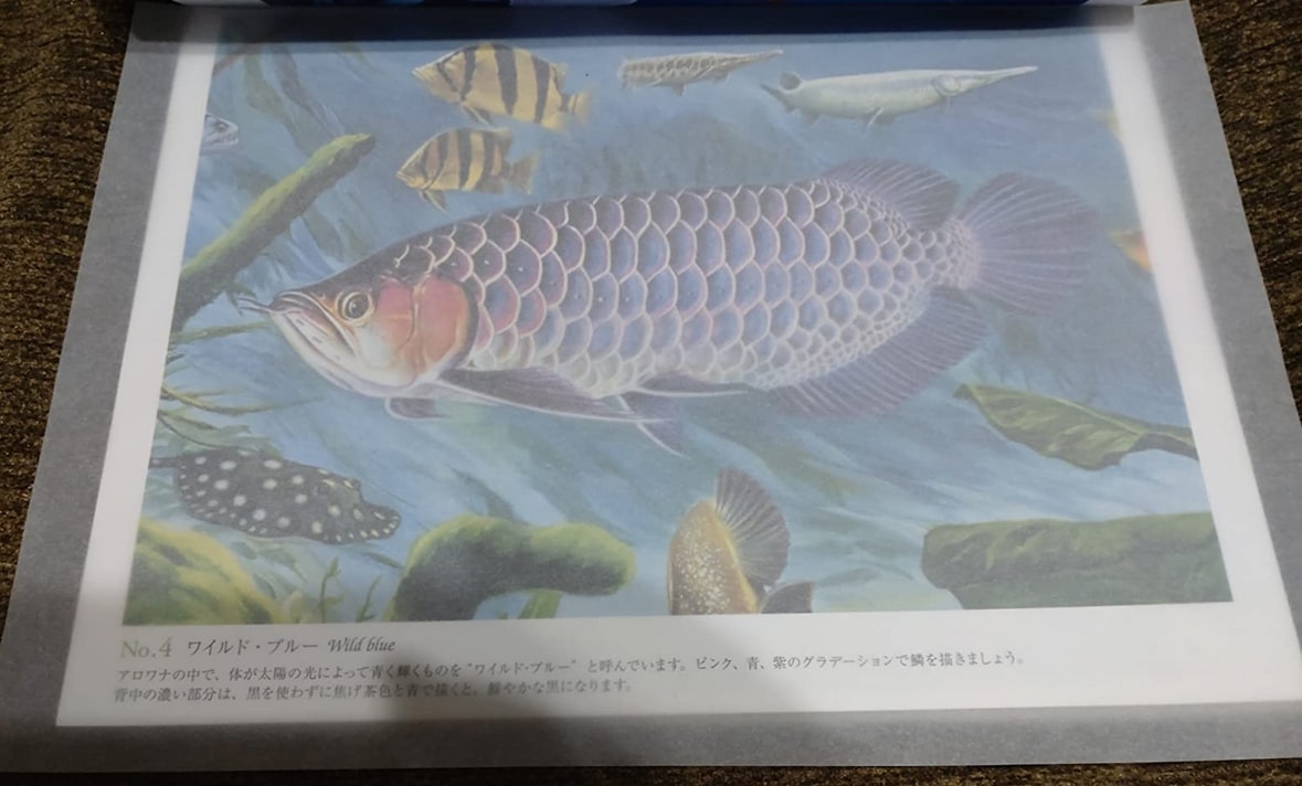 ステンシルシートはどこに売ってる