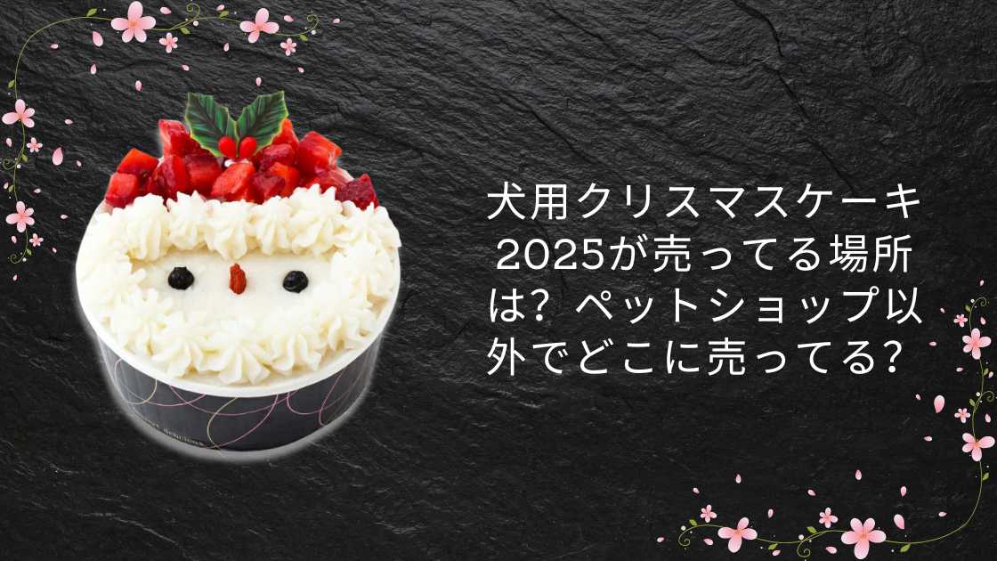 犬用クリスマスケーキ2025が売ってる場所は?イオンやコンビニなど販売店は?予約方法も
