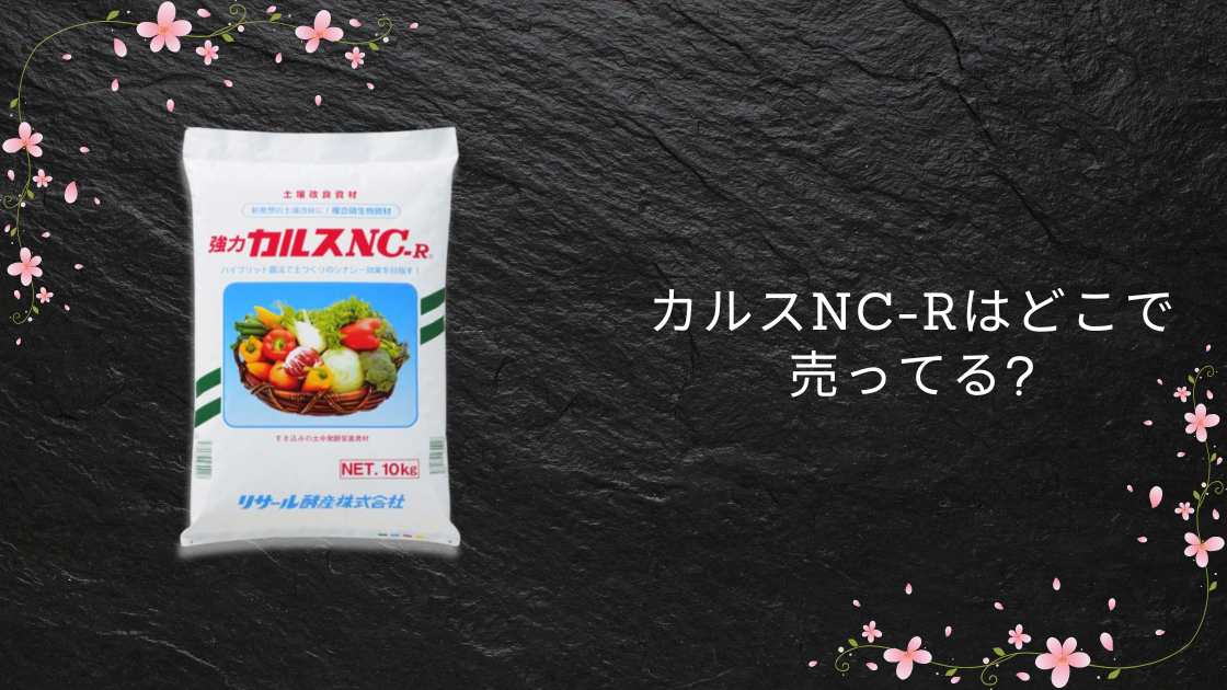 カルスNC-Rはどこで売ってる?ホームセンター(カインズ等)やヨドバシ・スーパー等売ってる場所は?