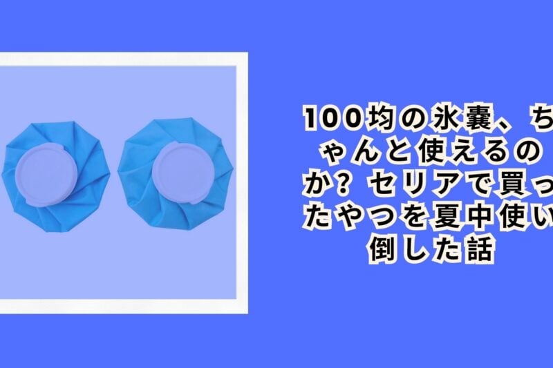 100均の氷嚢、ちゃんと使えるのか？セリアで買ったやつを夏中使い倒した話